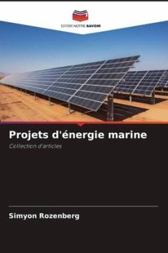 Projets d'énergie marine - Rozenberg, Simyon