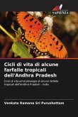 Cicli di vita di alcune farfalle tropicali dell'Andhra Pradesh