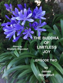 The Buddha of Limitless Joy: Episode Two (eBook, ePUB) - Hilgendorf, James