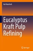 Eucalyptus Kraft Pulp Refining