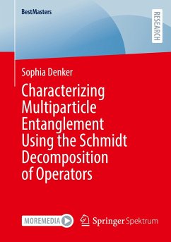 Characterizing Multiparticle Entanglement Using the Schmidt Decomposition of Operators - Denker, Sophia