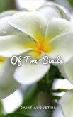 Of Two Souls (eBook, ePUB)