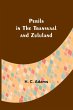Perils in the Transvaal and Zululand - Bild 1