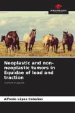 Neoplastic and non-neoplastic tumors in Equidae of load and traction