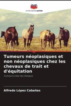 Tumeurs néoplasiques et non néoplasiques chez les chevaux de trait et d'équitation - López Cabañas, Alfredo