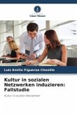 Kultur in sozialen Netzwerken induzieren: Fallstudie