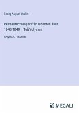 Reseanteckningar från Orienten åren 1843-1849; I Två Volymer