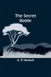 The Secret Battle - Bild 1