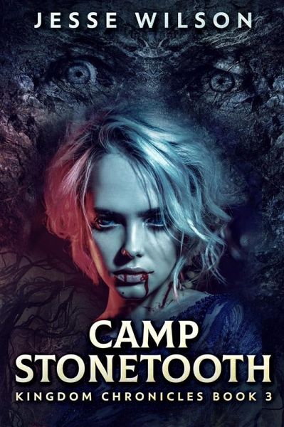 Camp Stonetooth (eBook, ePUB)