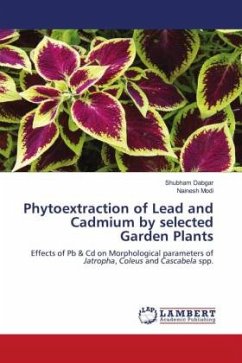 Phytoextraction of Lead and Cadmium by selected Garden Plants