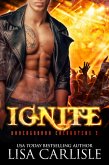 Ignite (Underground Encounters, #3) (eBook, ePUB)