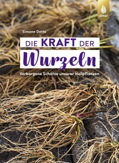 Die Kraft der Wurzeln (eBook, PDF) - Detto, Simone