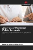Analysis of Municipal Public Accounts