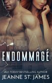 Endommagé (eBook, ePUB)