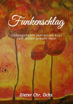Funkenschlag (eBook, ePUB)