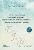 Tutela colectiva de derechos humanos y objetivos de desarrollo sostenible : integración, jurisdicción e igualdad