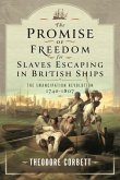 The Promise of Freedom for Slaves Escaping in British Ships
