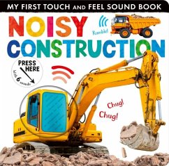 Cover Noisy Construction