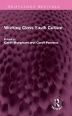 Working Class Youth Culture