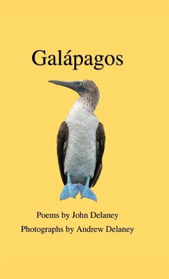 Galápagos - Delaney, John