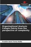 Organisational Analysis Colegio Patria from the perspective of complexity