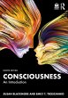 Consciousness - Bild 1