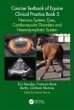 Concise Textbook of Equine Clinical... - Bild 1