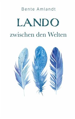 Lando zwischen den Welten (eBook, ePUB)