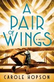 A Pair of Wings (eBook, ePUB)