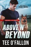 Above 'N' Beyond (eBook, ePUB)