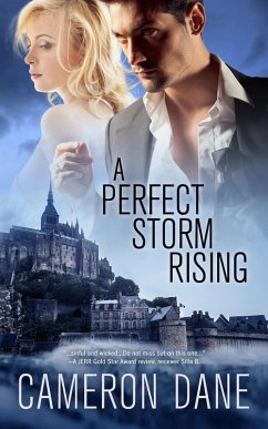 Cover A Perfect Storm Rising (eBook, ePUB)