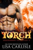 Torch (Underground Encounters, #9) (eBook, ePUB)
