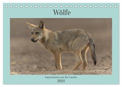 Wölfe, Impressionen aus der Lausitz (Tischkalender 2024 DIN A5 quer), CALVENDO Monatskalender