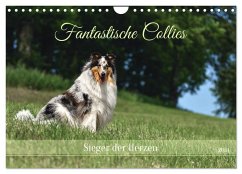 Fantastische Collies - Sieger der Herzen (Wandkalender 2024 DIN A4 quer), CALVENDO Monatskalender - Janetzek, Yvonne