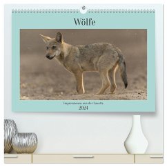 Wölfe, Impressionen aus der Lausitz (hochwertiger Premium Wandkalender 2024 DIN A2 quer), Kunstdruck in Hochglanz - Heiber, Steffen