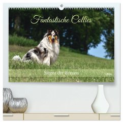 Fantastische Collies - Sieger der Herzen (hochwertiger Premium Wandkalender 2024 DIN A2 quer), Kunstdruck in Hochglanz