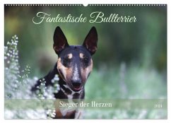 Fantastische Bullterrier - Sieger im Herzen (Wandkalender 2024 DIN A2 quer), CALVENDO Monatskalender