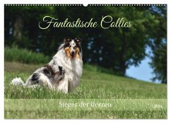 Fantastische Collies - Sieger der Herzen (Wandkalender 2024 DIN A2 quer), CALVENDO Monatskalender