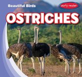 Ostriches