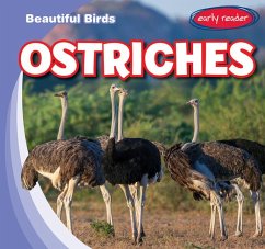 Ostriches - Jacobson, Bray