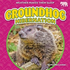 Groundhog Hibernation Cover Groundhog Hibernation