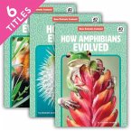 How Animals Evolved (Set)