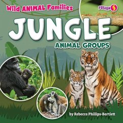 Jungle Animal Groups - Phillips-Bartlett, Rebecca