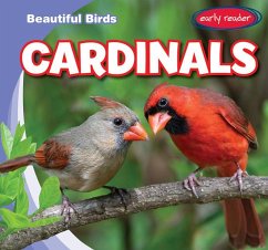 Cardinals - Jacobson, Bray