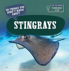 20 Things You Didn't Know about Stingrays - Clasky, Leonard