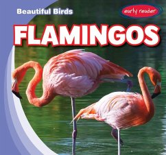 Flamingos - Jacobson, Bray