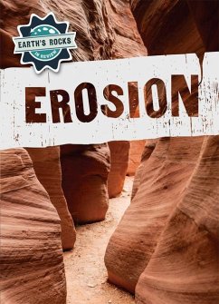 Erosion - McDougal, Anna