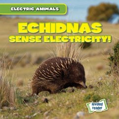 Echidnas Sense Electricity! - Mallory, Louis