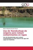 Uso de Nanoburbuja de oxigeno para reducir contaminantes en lagos