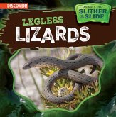 Legless Lizards